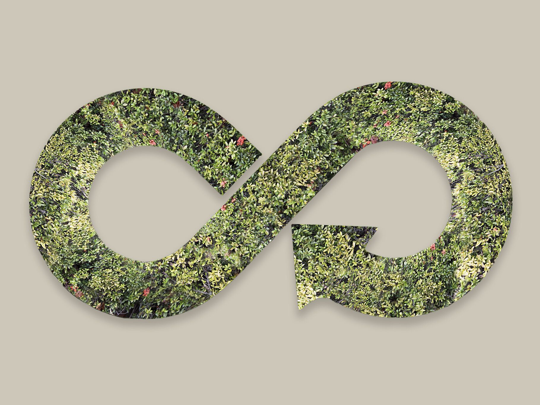 Symbole de l'infini sous la forme d'une flèche composée de plantes