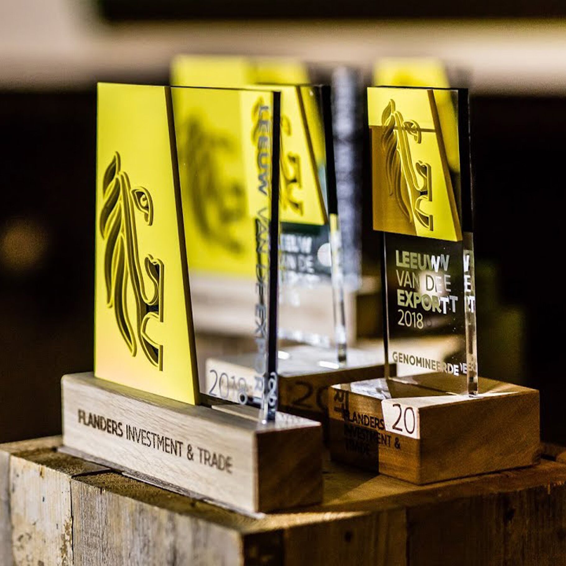 Immagine del premio per il Leone dell'esportazione