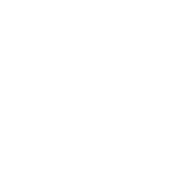 Logo of the UN Global Compact certificate