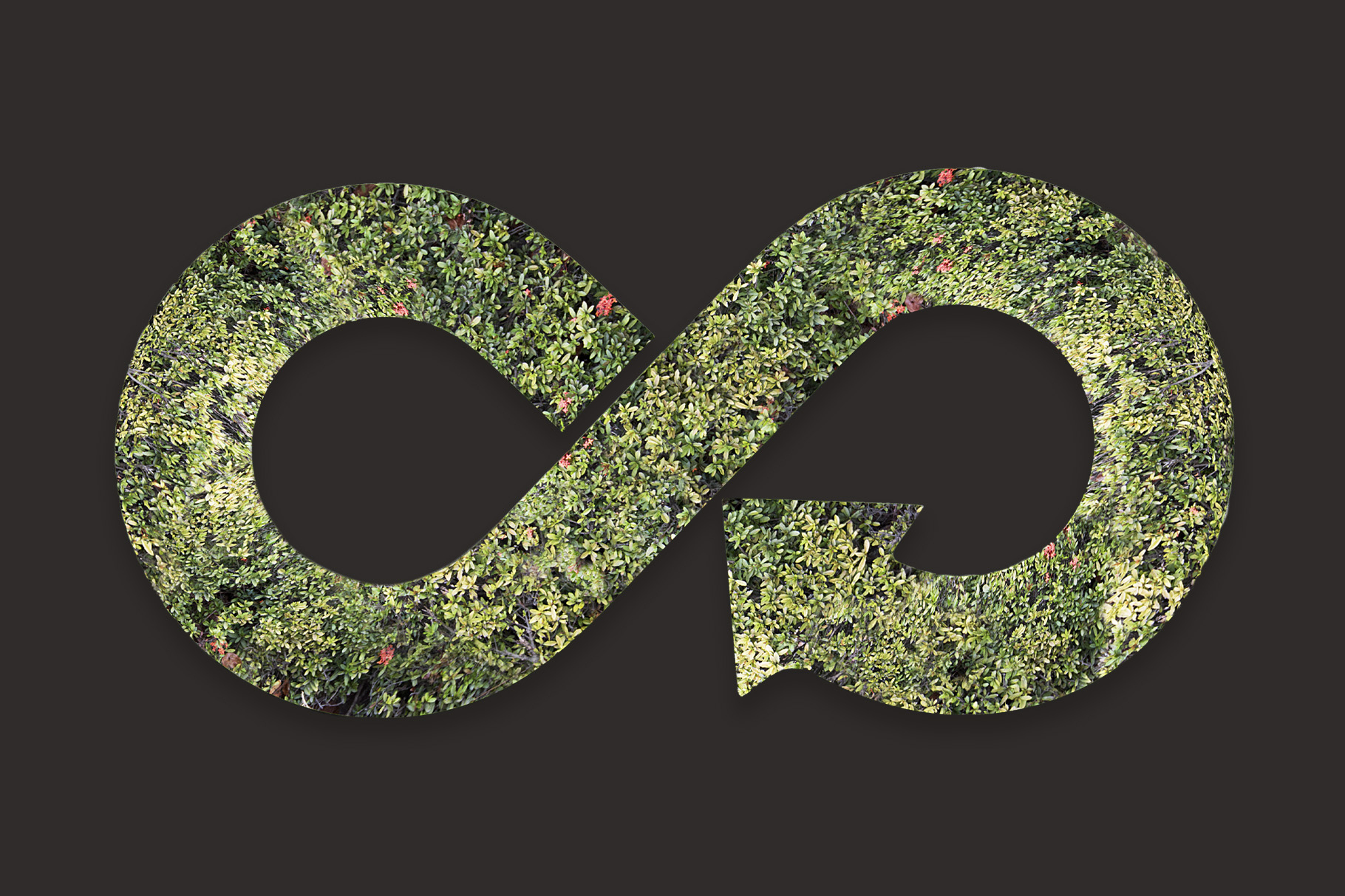 Infinity symbol in the form of an arrow made of plants